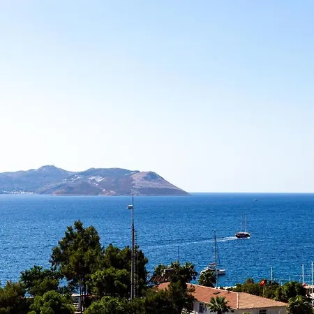 Cedrus 2* Kaş
